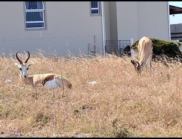 LAND FOR SALE IN HOOGLAND